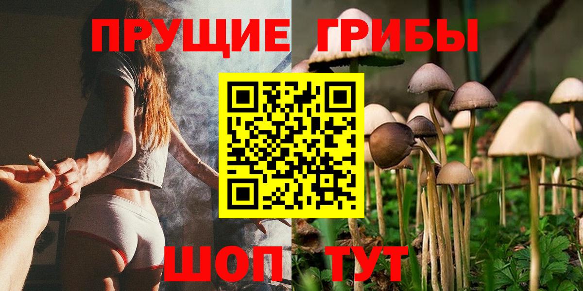 Псилоцибиновые грибы мицелий Железногорск