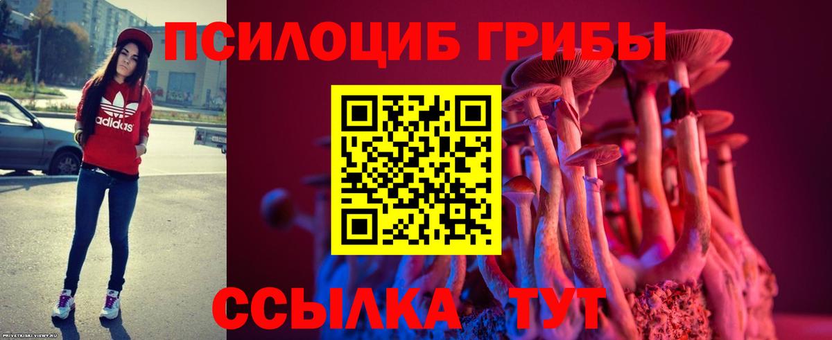 Железногорск  где купить наркоту  Вход с VPN  Псилоцибиновые грибы ЛСД  Псилоцибиновые грибы MAGIC MUSHROOMS 